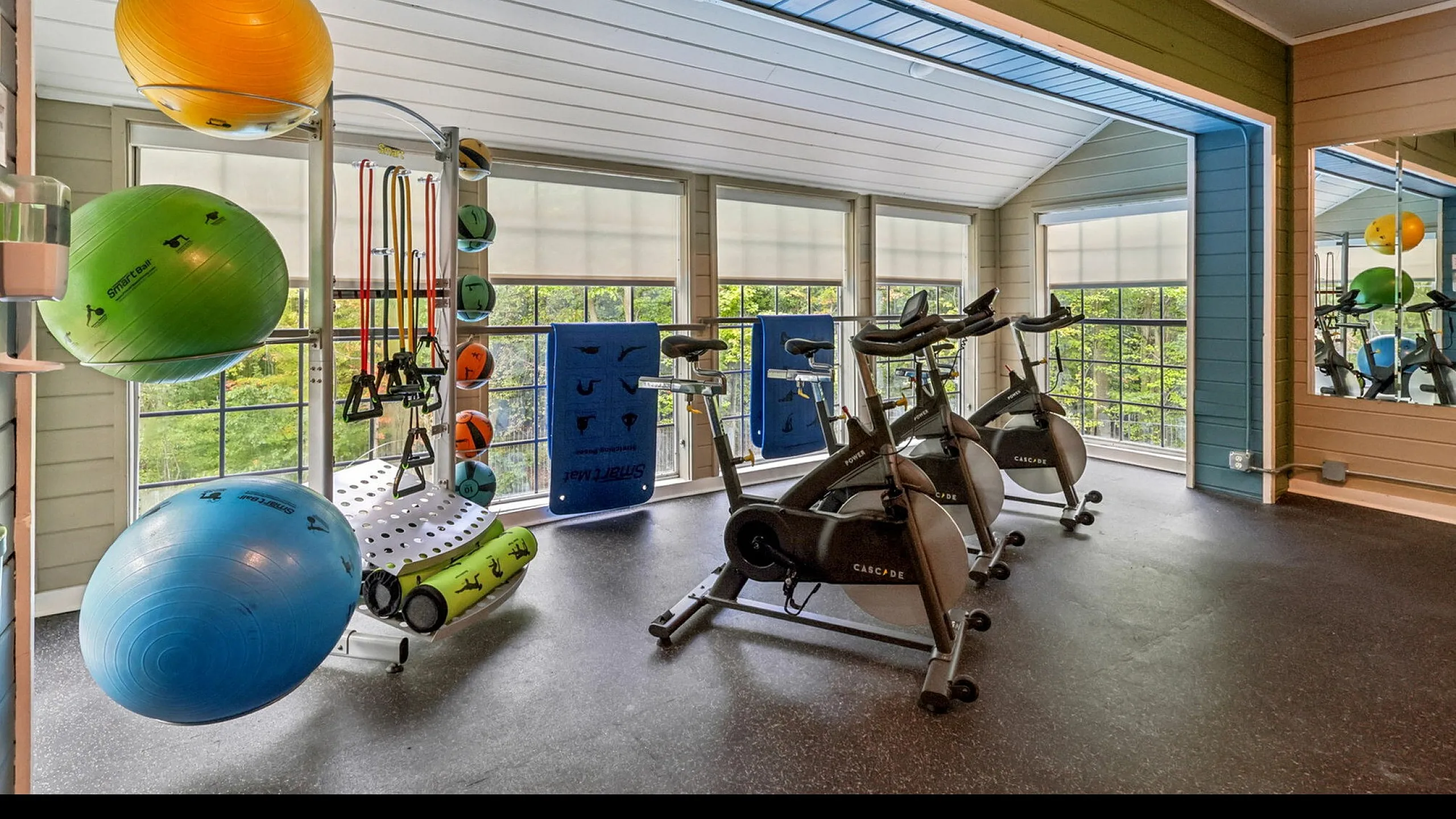 Bright and modern gym featuring exercise bikes, resistance bands, and colorful workout balls with large windows overlooking lush greenery.