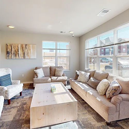 Community Room Couches