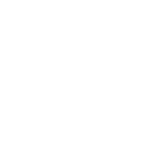 White Tiffany Logo