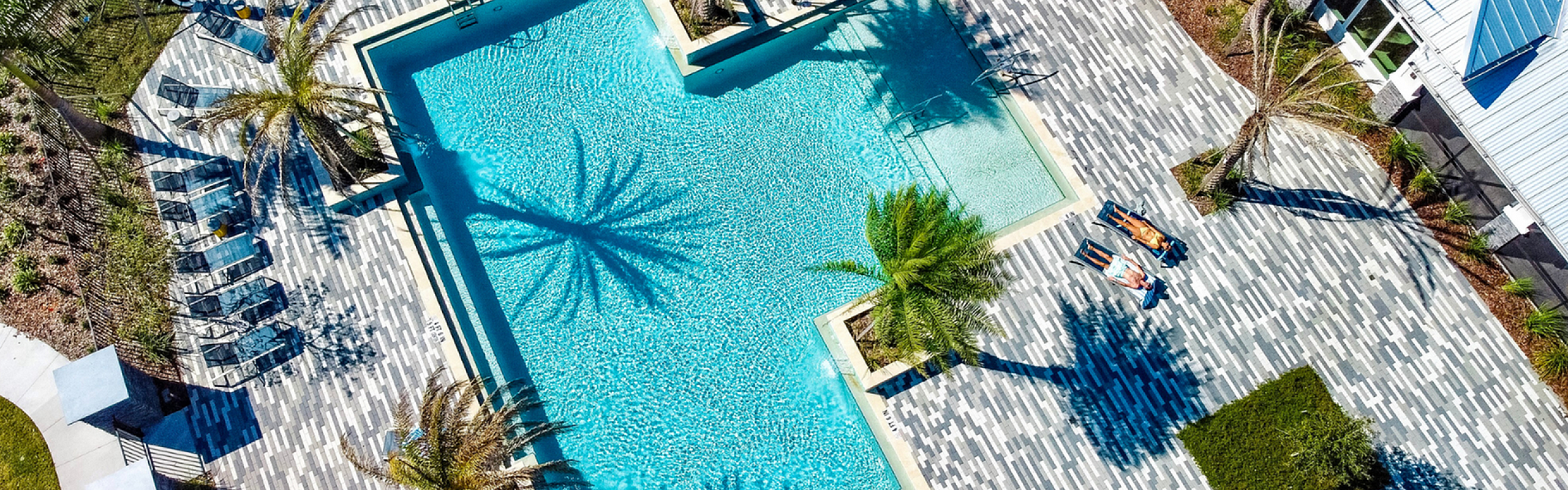 Aerial view of a luxurious pool surrounded by elegant palm trees and stylish lounge chairs, offering a relaxing oasis.