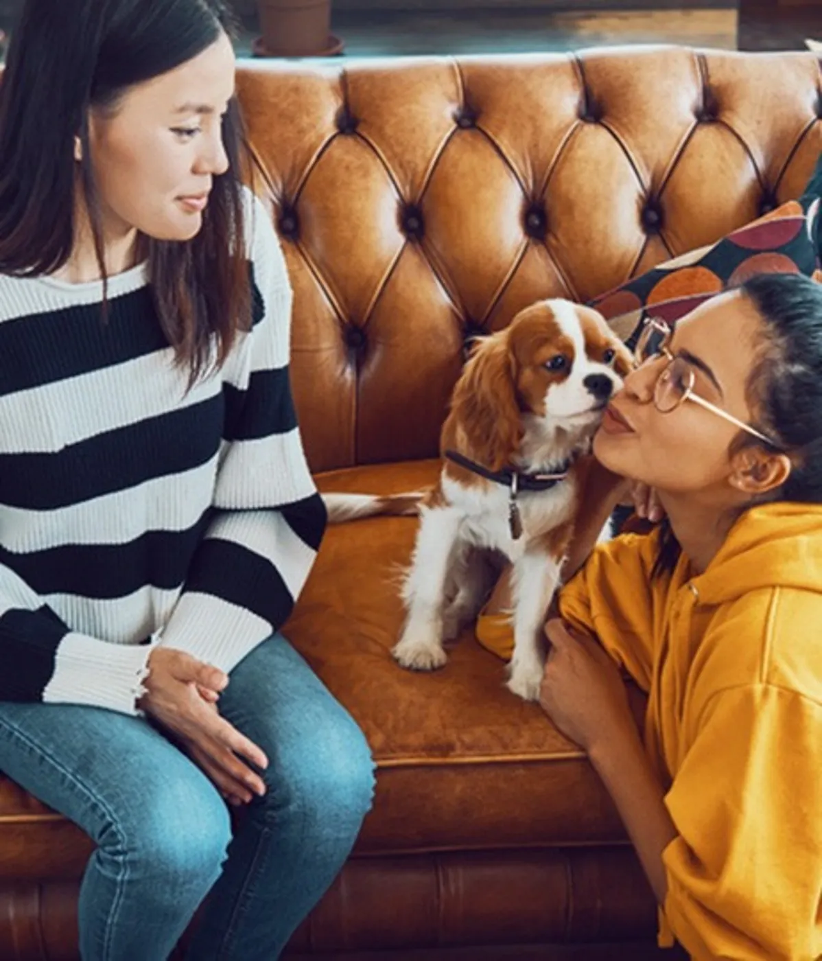 pet friendly