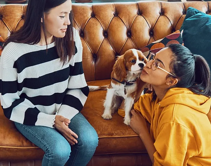 Inviting living room with a brown leather couch, featuring two friends enjoying time with their small dog.