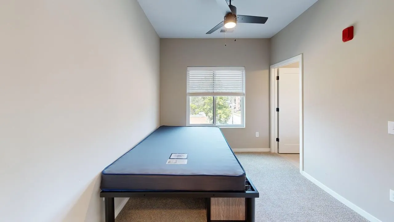 Bright, modern bedroom featuring a platform bed, large window with views, and sleek ceiling fan for optimal comfort.