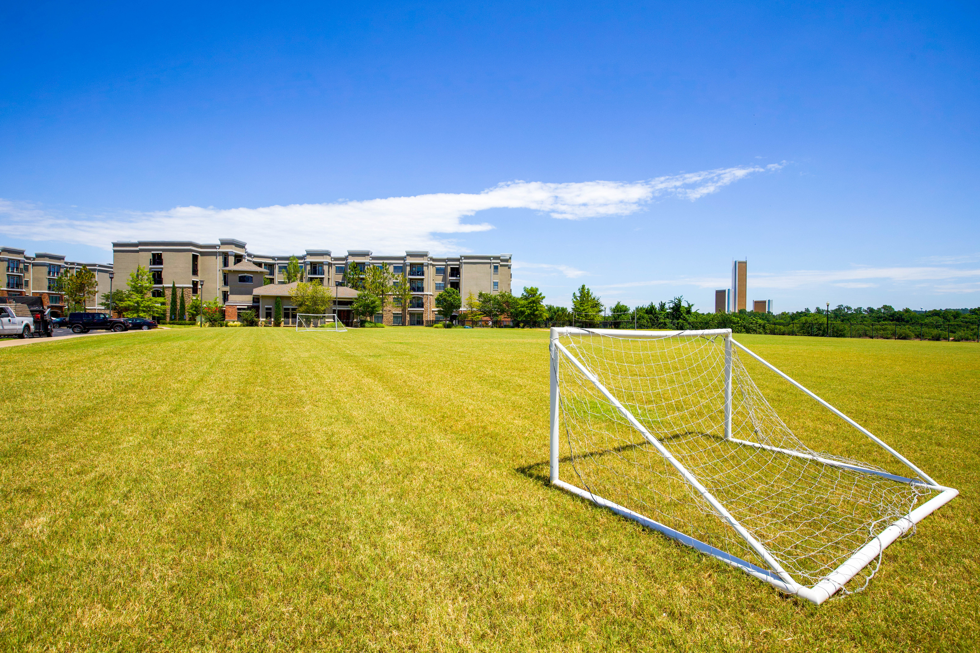Field