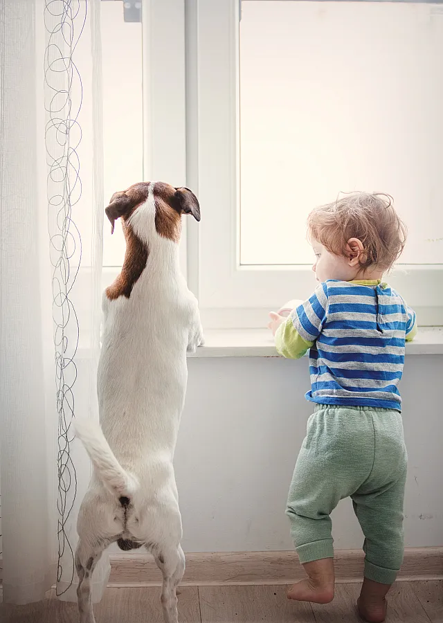 Dog and kiddo
