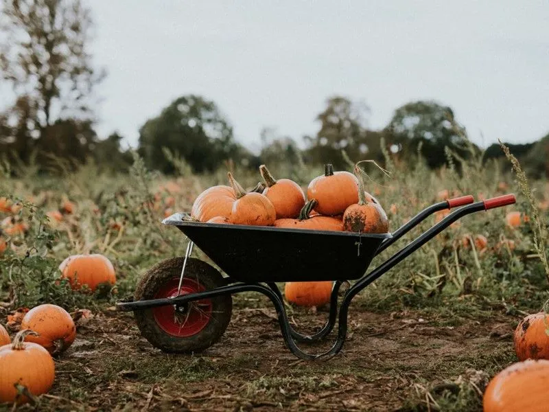 Fall Activities Around St. George, Utah-image