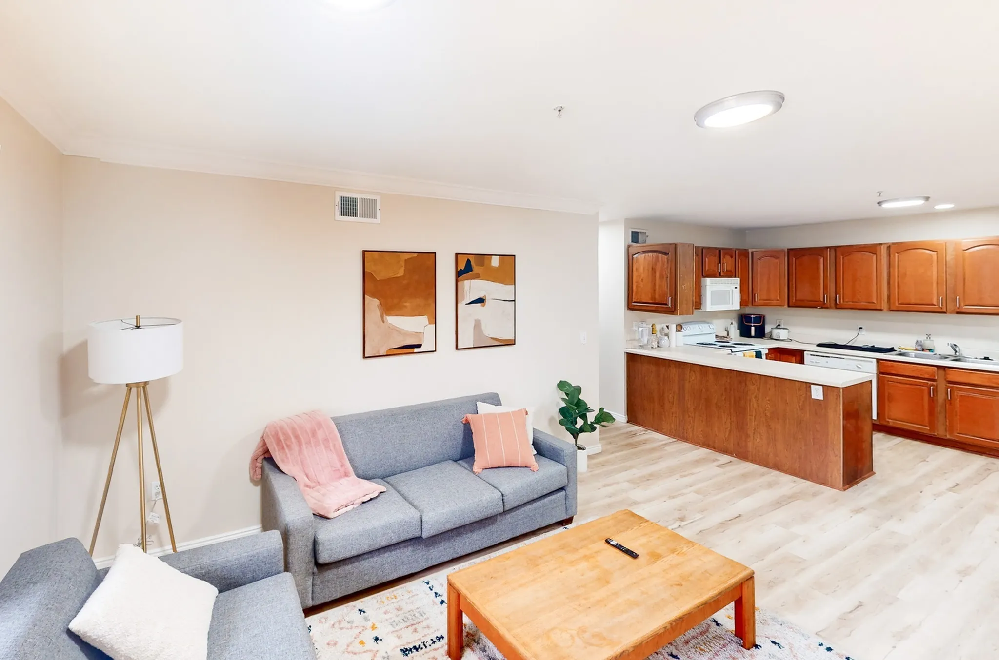 How to Organize a Small Apartment for College Students | The Omni-image
