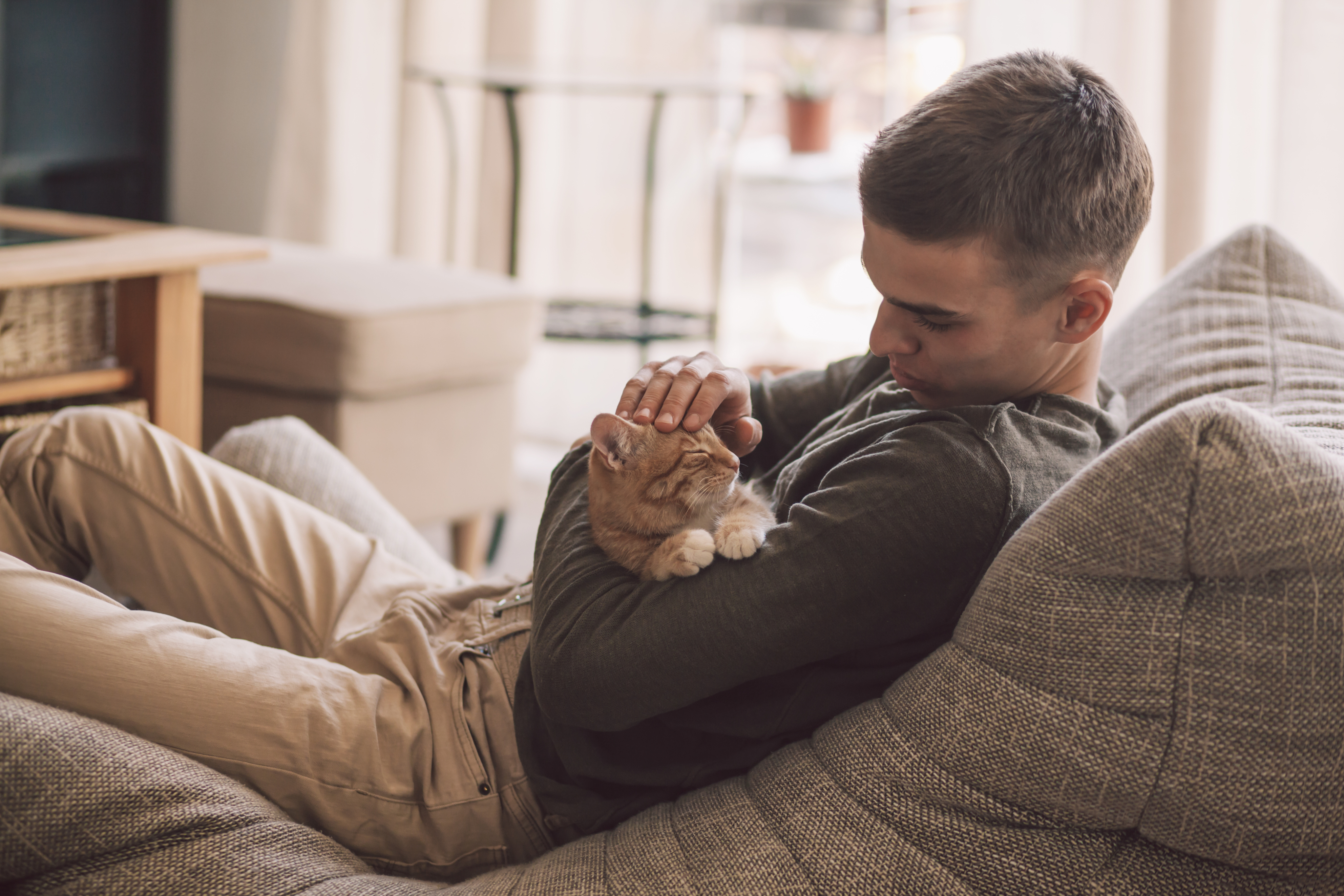 What Should You Know Before Renting a Pet-Friendly Apartment in Provo?-image