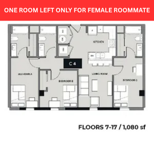 Modern floor plan featuring three bedrooms, a well-appointed kitchen, and a cozy living room, perfect for roommates. Spacious design spanning 1,080 sq ft across floors 7-17.