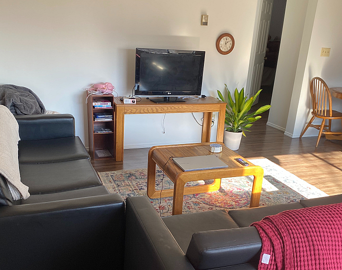 Inviting living room with black leather sofas, wooden coffee and TV tables, a wall clock, and green plant.