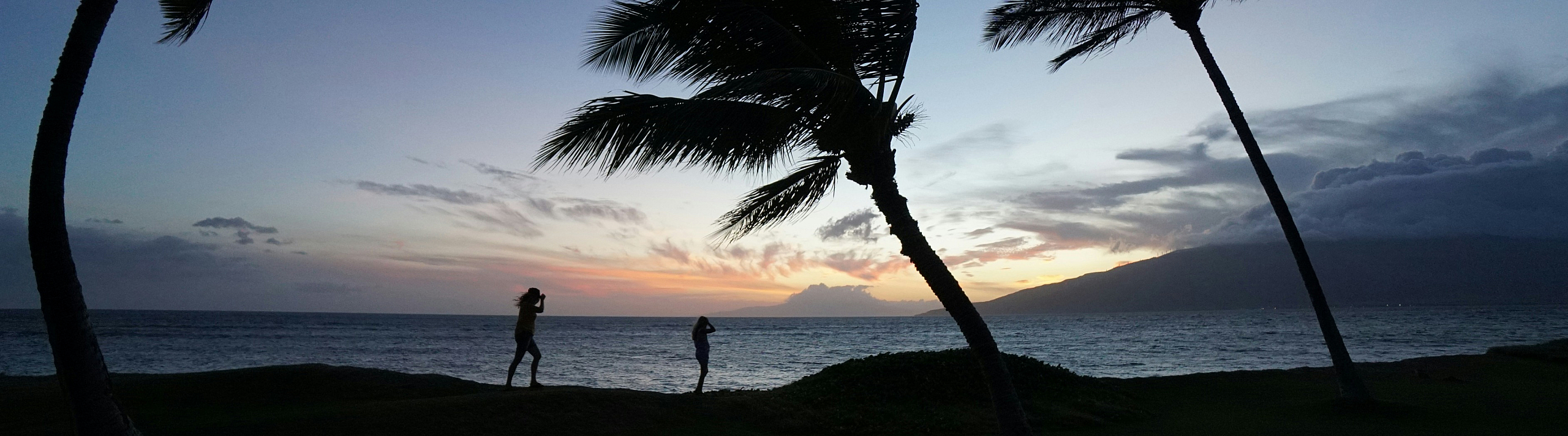 Idyllic beach setting with silhouettes of palm trees at sunset, creating a serene and picturesque tropical atmosphere.