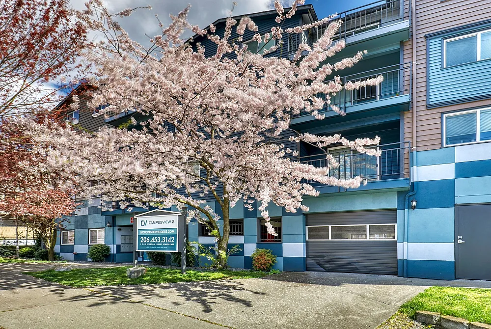 Charming apartment building adorned with blooming cherry blossoms, offering vibrant urban living in a serene setting.