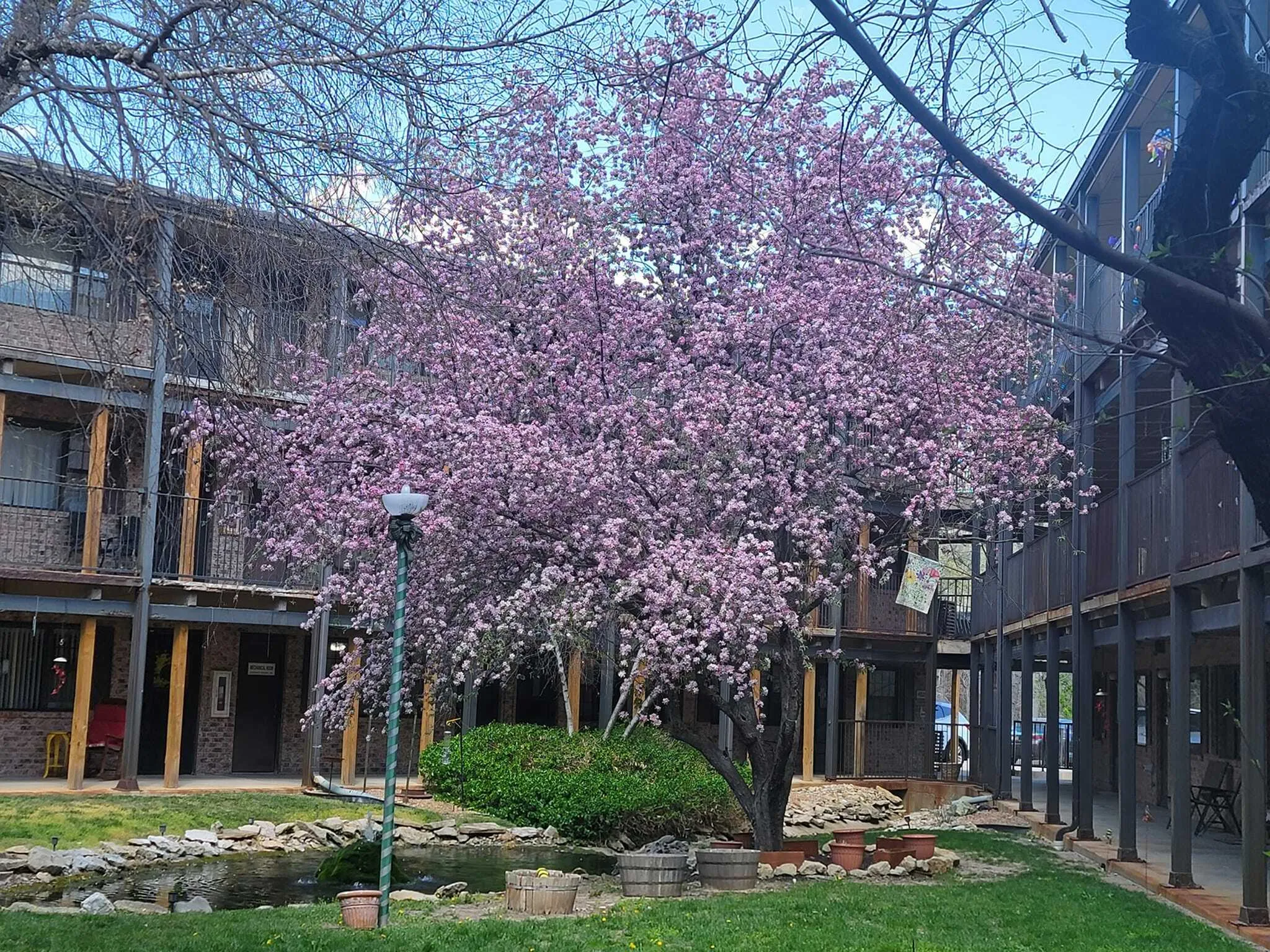 Landscaping