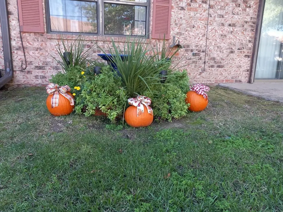 Fall