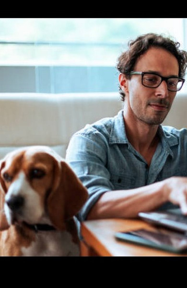 Cozy apartment living room featuring a man working on a laptop with a beagle by his side, showcasing a work-from-home lifestyle.