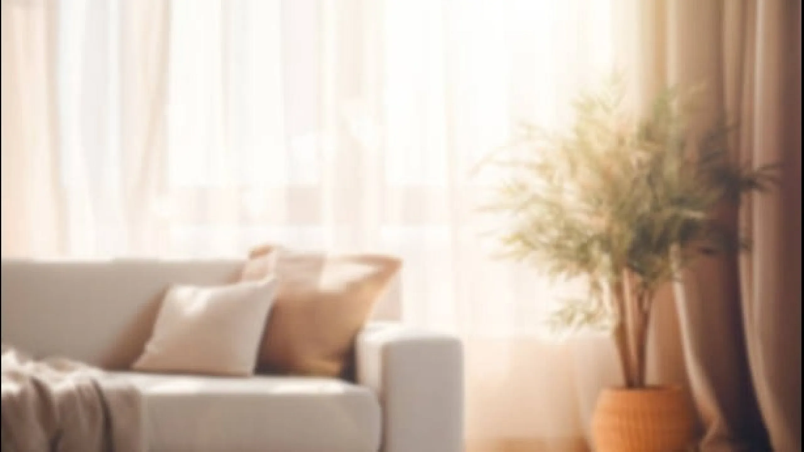Sunlit cozy living room with a plush sofa, accent pillows, and a vibrant plant, ideal for relaxing.