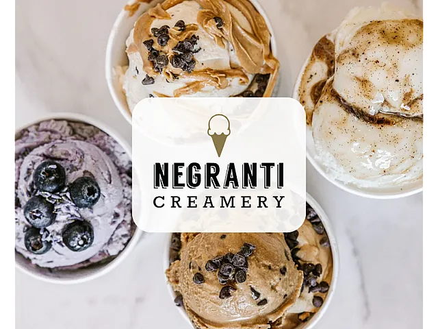 Delightful assortment of gourmet ice creams topped with chocolate chips, blueberries, and rich sauces from Negranti Creamery.