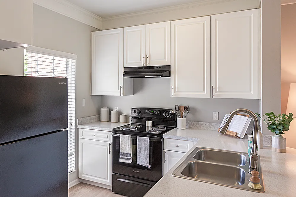 Bright and modern kitchen with sleek black appliances, stylish white cabinetry, and ample natural light.