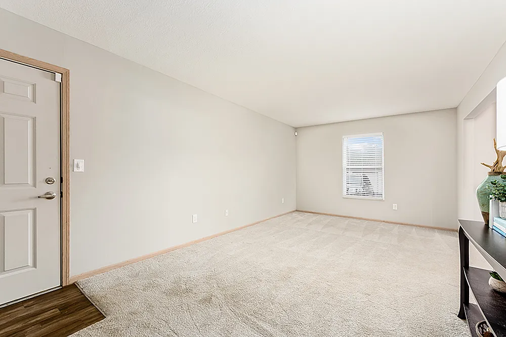 Bright and welcoming living room with plush carpet, large window, and elegant decor, perfect for a cozy home atmosphere.