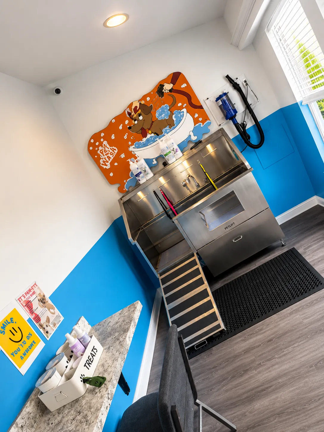 Inviting pet wash station featuring vibrant decor, efficient washing setup, and handy storage for grooming supplies.