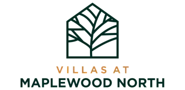 VMN Logo
