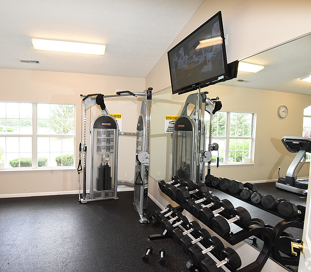 Inviting fitness room with modern exercise equipment, bright natural lighting from large windows, and sleek mirrors for an energetic workout experience.