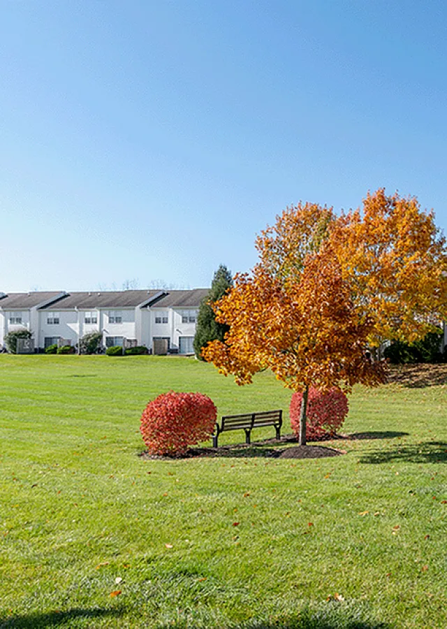 Bright and inviting apartment complex with lush green lawns, colorful autumn trees, and charming white buildings under a clear blue sky.