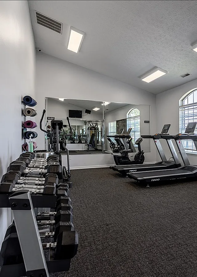 Inviting apartment gym equipped with modern treadmills, a full set of dumbbells, and yoga mats, bathed in natural light.