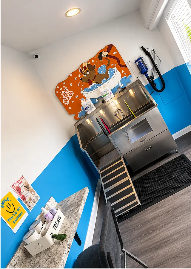 Charming pet wash station with bright decor, featuring a stainless steel tub and playful wall art, perfect for pampering your furry friends.