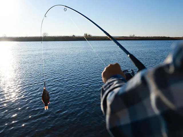 Serene lake view with a person fishing, capturing a vibrant moment of nature and relaxation.