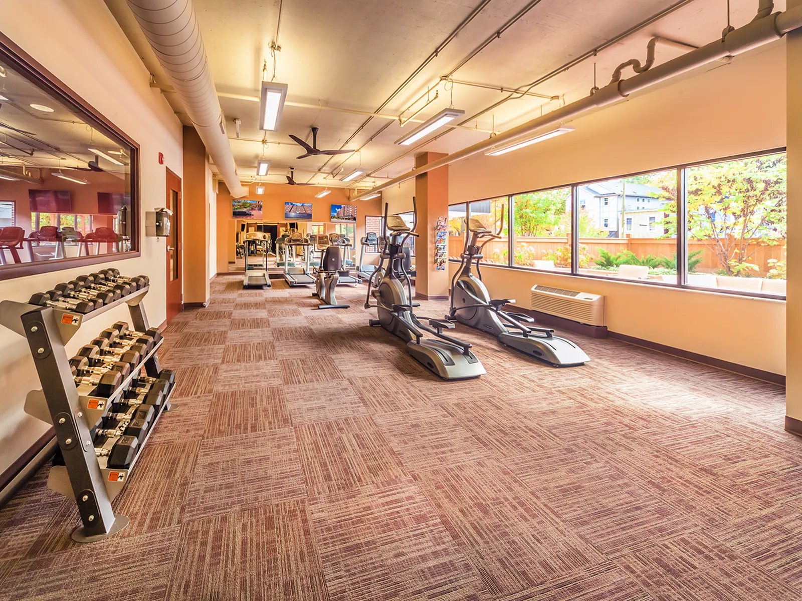 Bright and modern fitness center featuring state-of-the-art exercise equipment and expansive windows bringing in natural light.
