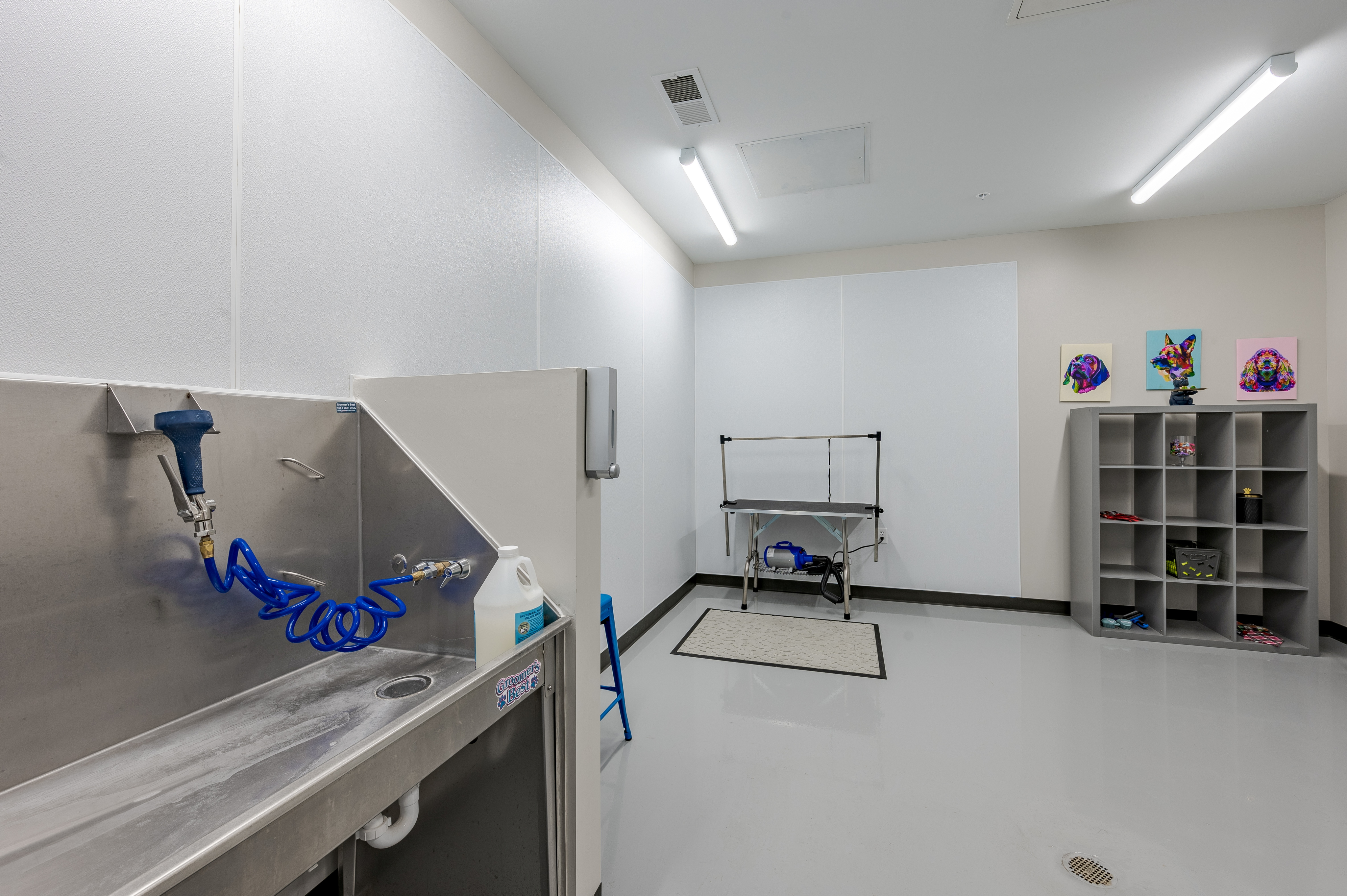 Modern pet grooming station with sleek stainless steel wash area, organized shelving, and vibrant dog artwork.