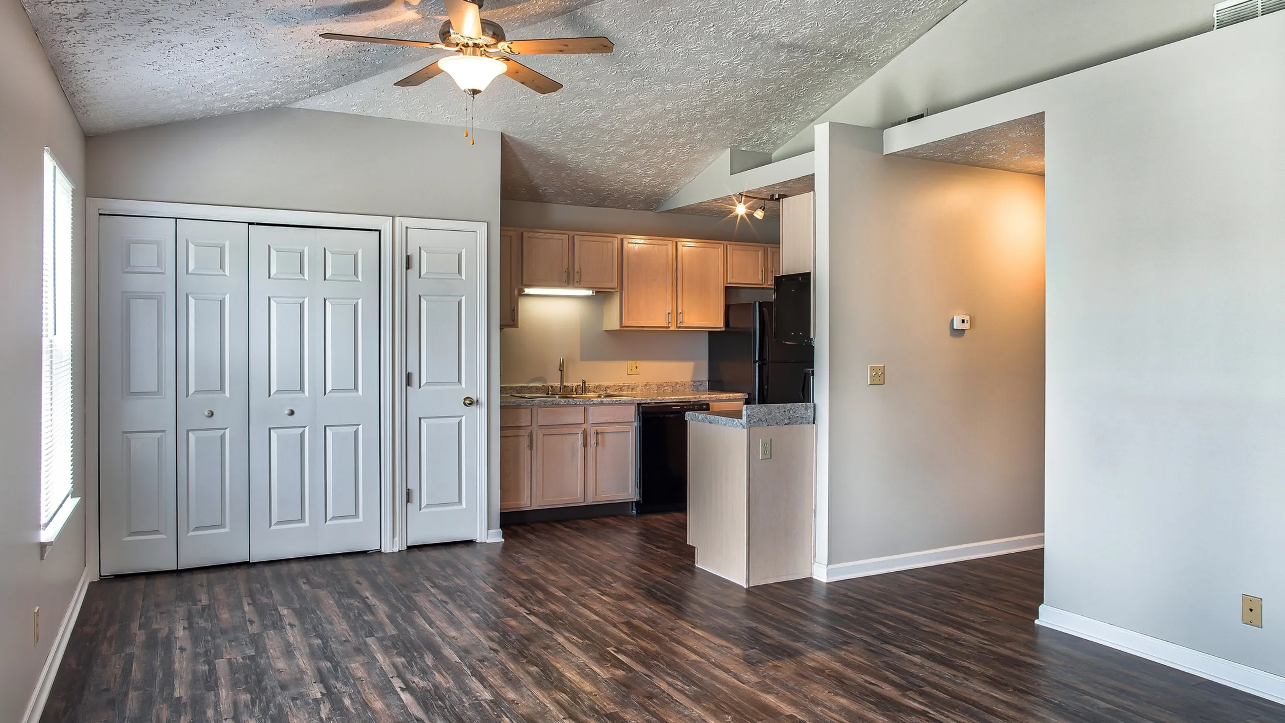 Charming apartment with a modern open kitchen, sleek wood flooring, and ample closet space under a vaulted ceiling.