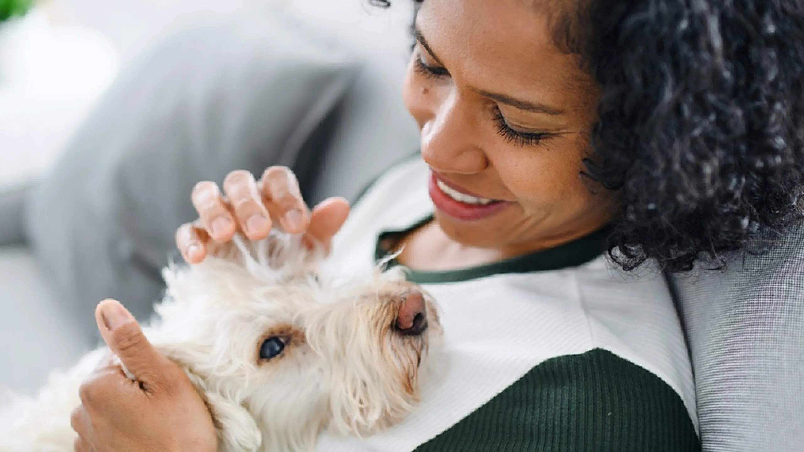Cozy apartment living with a person joyfully embracing their fluffy white dog on a comfortable sofa.