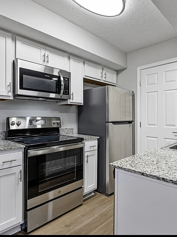 Modern kitchen with sleek stainless steel appliances, granite countertops, and elegant cabinetry, perfect for culinary enthusiasts.