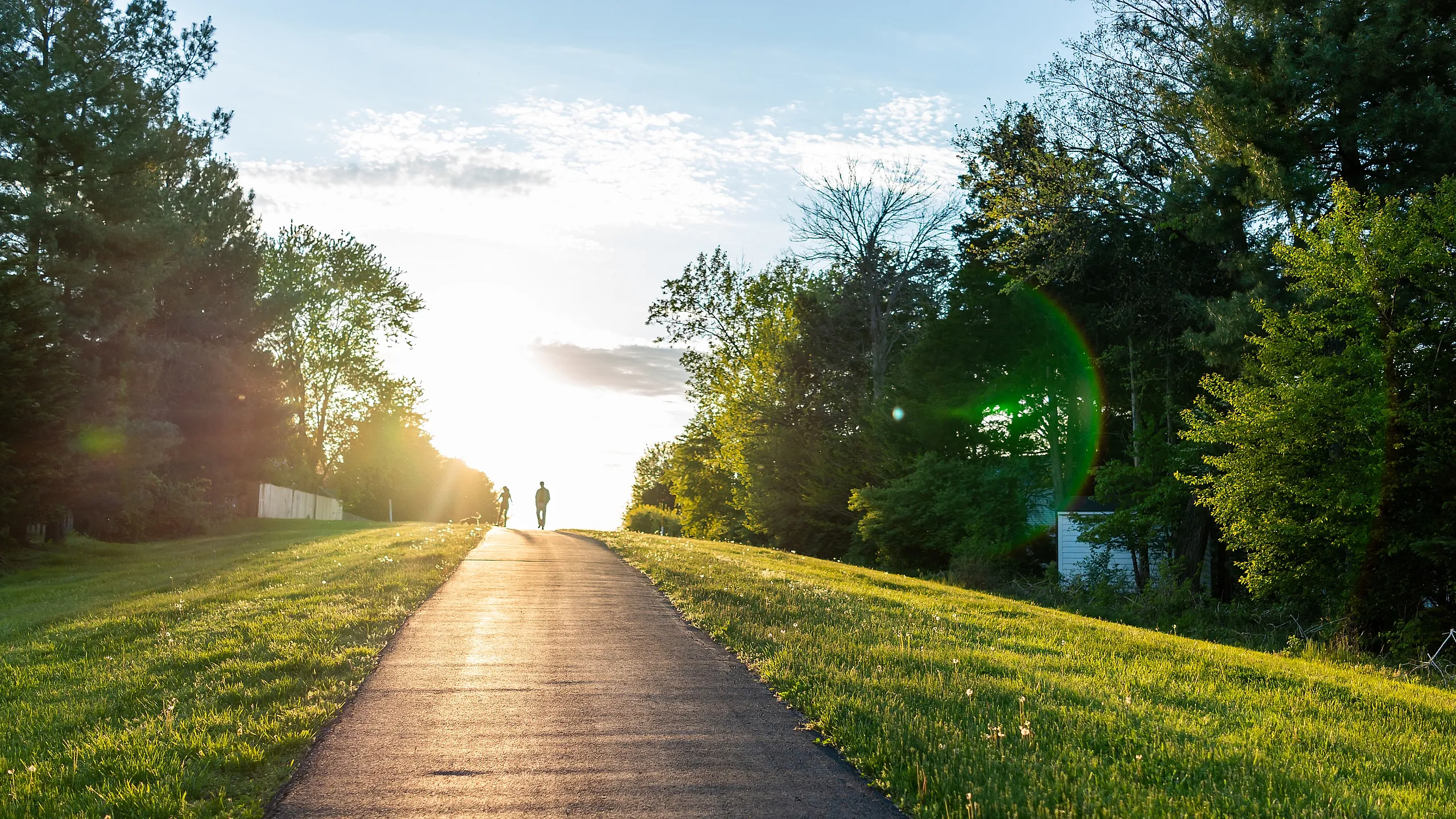 Scenic sunset view with a paved path lined by vibrant green trees and grass, perfect for outdoor walks.