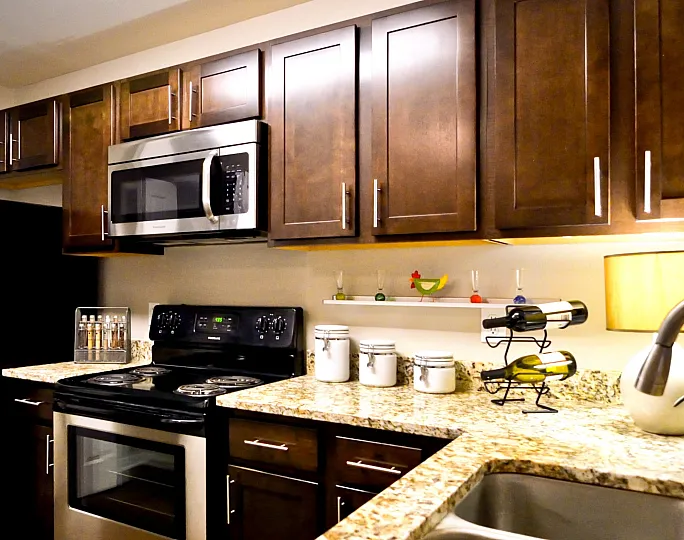 Sleek modern kitchen with stainless steel appliances, rich wooden cabinetry, and elegant granite countertops.