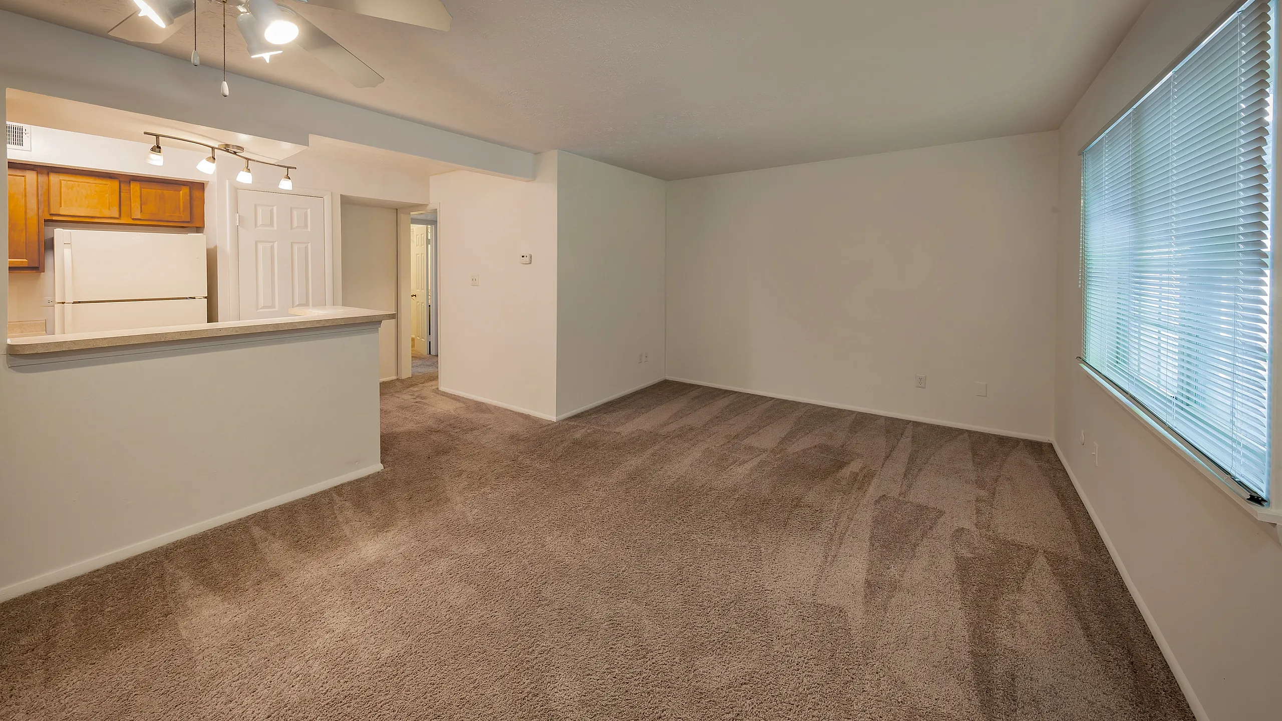 Bright, open-concept living area with plush carpet, featuring a spacious kitchen with modern lighting and ample counter space.