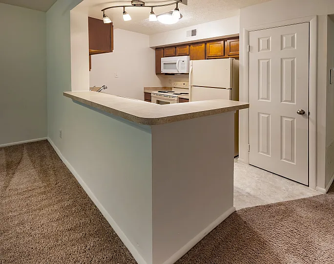 Inviting apartment interior featuring a cozy kitchen with modern lighting, adjacent to a warm carpeted living area.