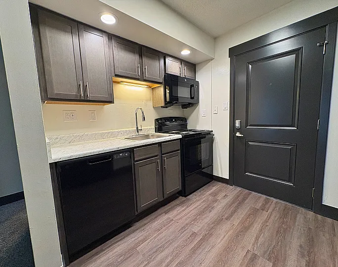 Modern kitchen with sleek dark cabinets, polished granite countertops, and contemporary appliances, accented by elegant hardwood floors.