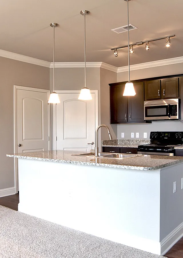 Modern kitchen with granite countertops, stainless steel appliances, and stylish pendant lighting.