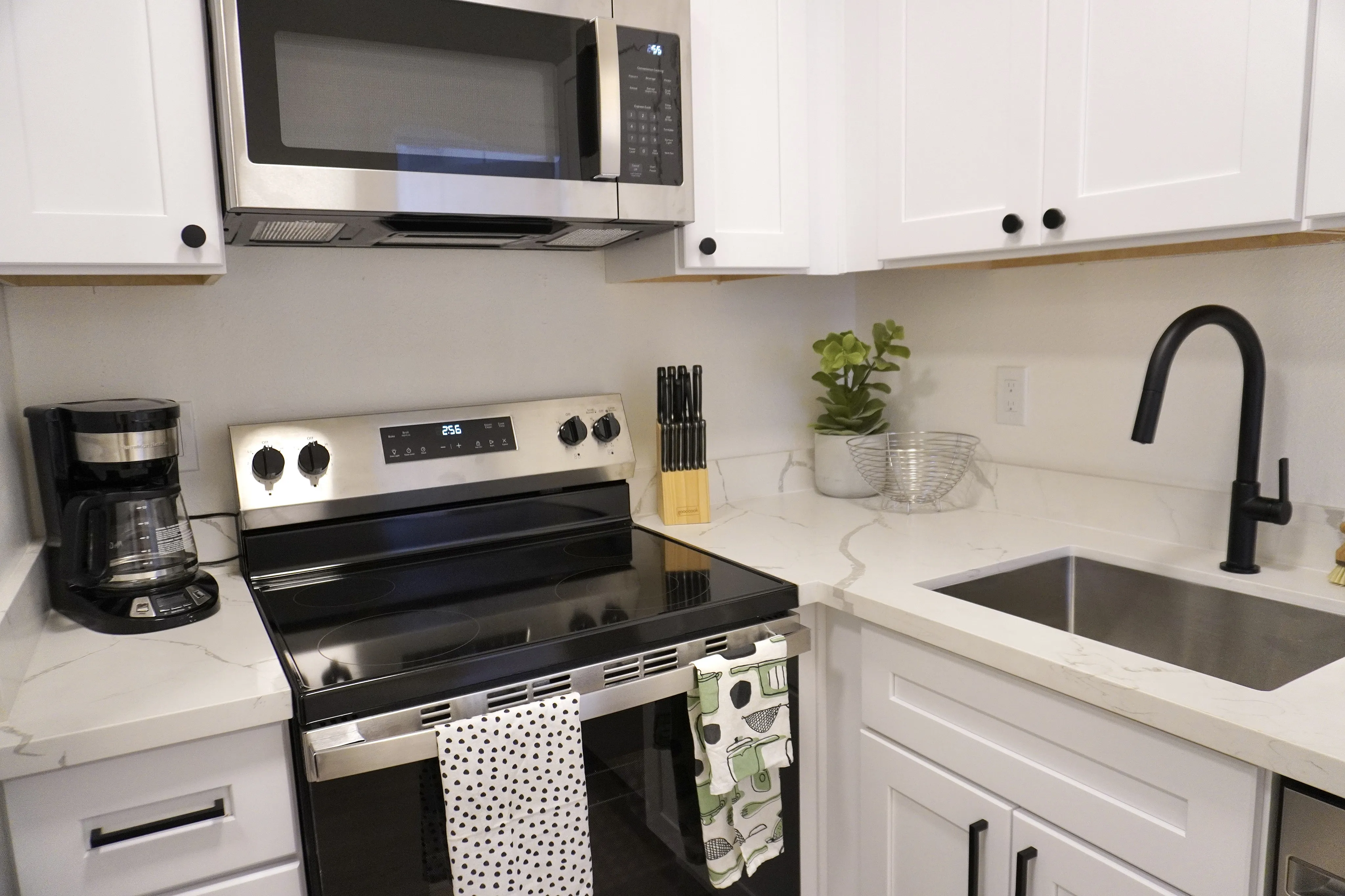 Polished, modern kitchen appliances