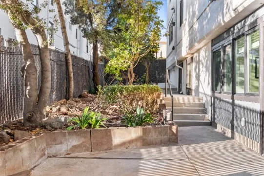 Charming outdoor space with lush greenery, modern building exterior, and inviting natural light.