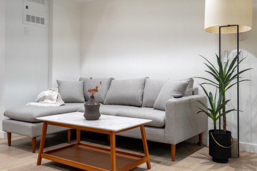 Chic and cozy living room with a stylish gray sofa, modern floor lamp, sleek coffee table, and lush potted plant.