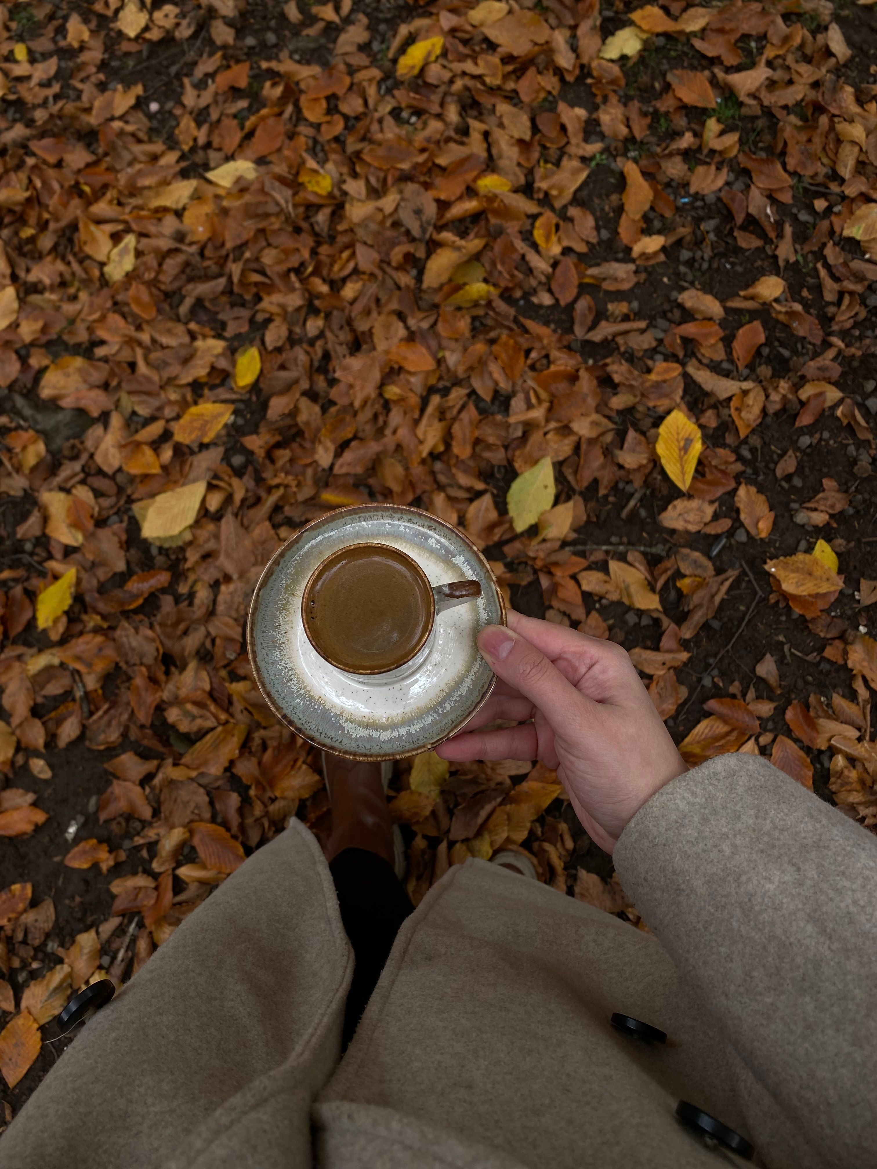 Fall Into Denver: An October Guide to Living at El Greco Apartments-image