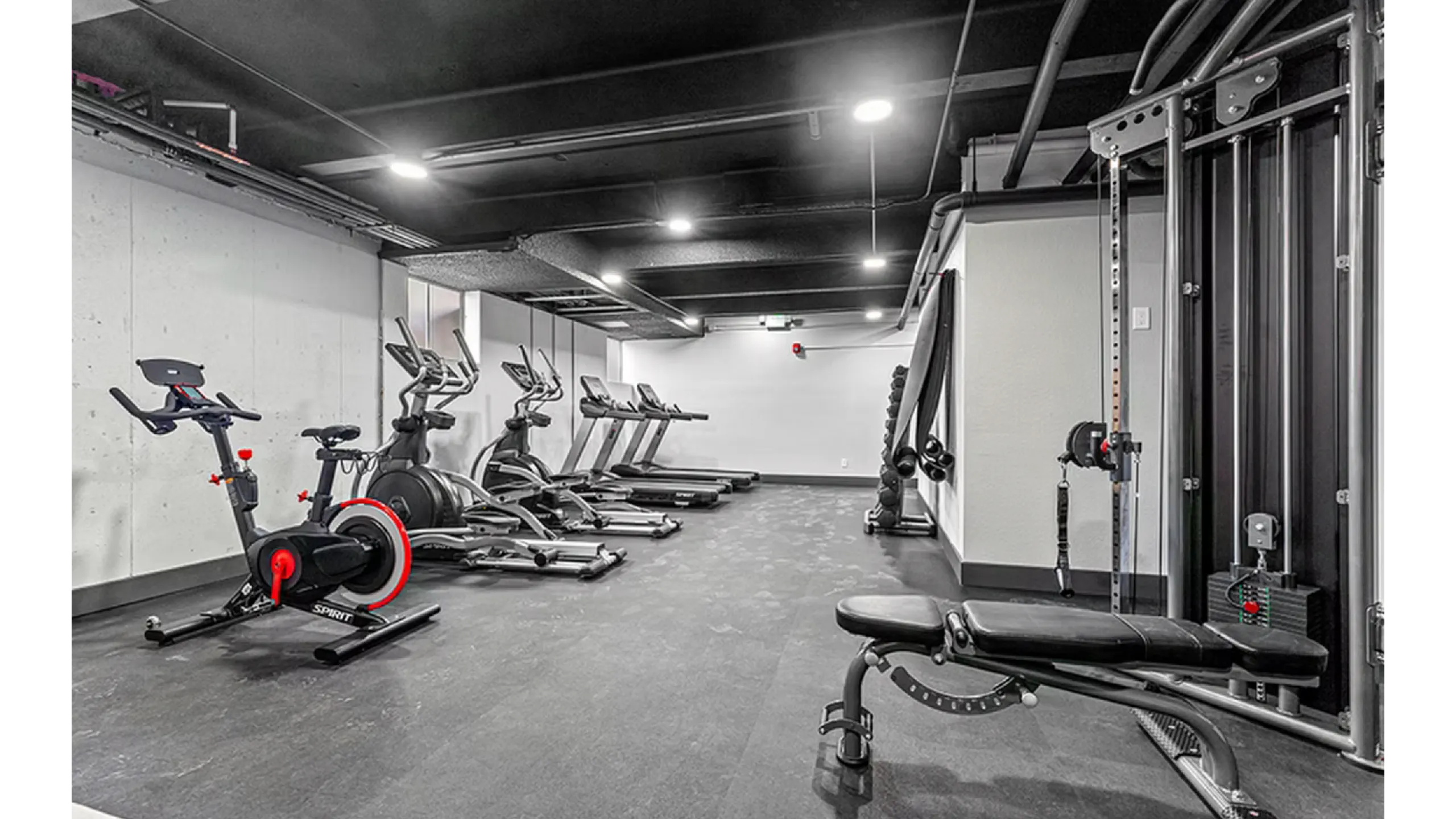Modern fitness center featuring state-of-the-art exercise bikes, treadmills, and versatile weight equipment in a spacious, well-lit setting.