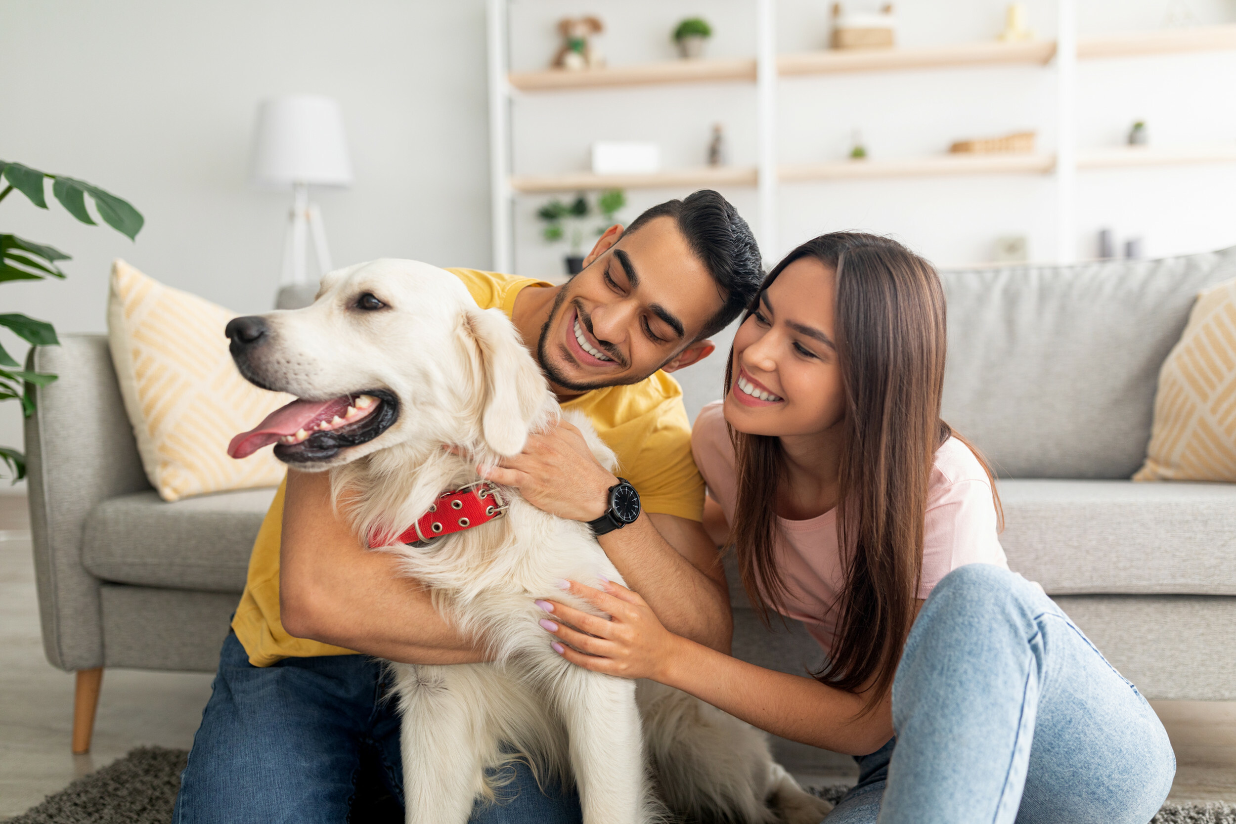 Happy couple enjoying time with their golden retriever in a modern, cozy living room with stylish decor.