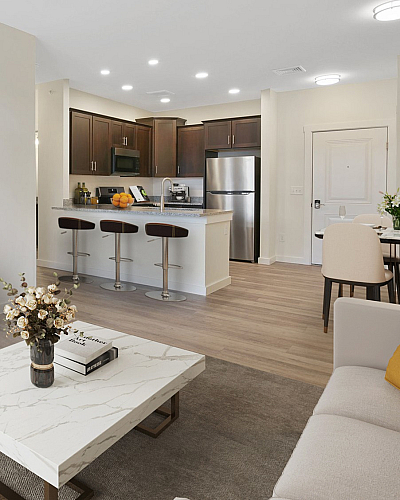 Apartment Living Room