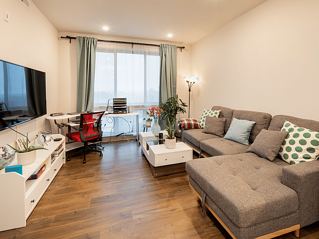 Modern living room with a cozy gray sectional sofa, vibrant cushions, sleek wall-mounted TV, and a stylish workspace complete with a red chair. Accented by lush plants and natural light through large windows.