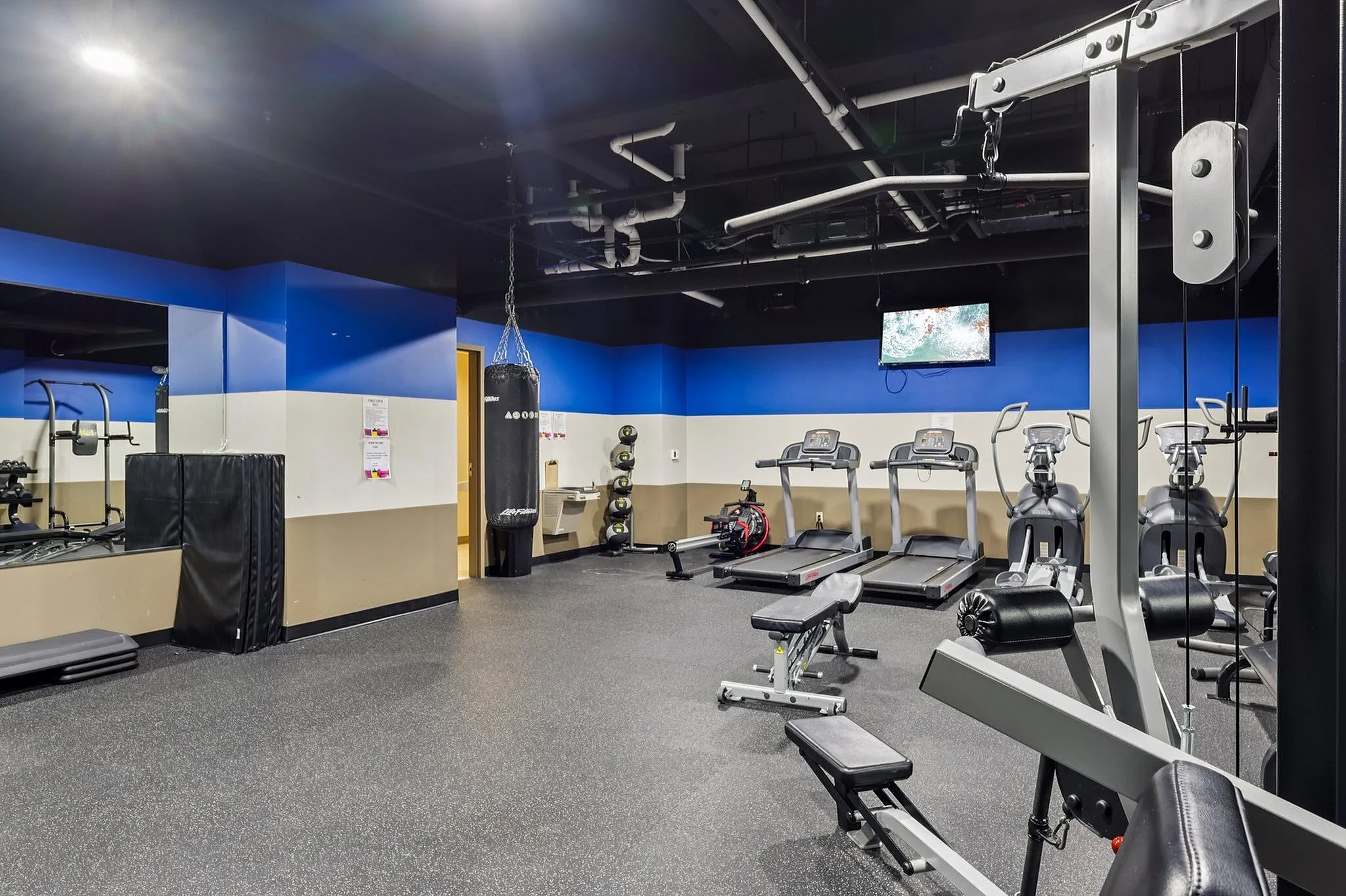 Modern fitness center equipped with treadmills, weight machines, and a punching bag in a vibrant and inviting setting.
